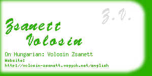 zsanett volosin business card